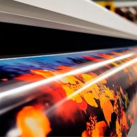 Vinilo impreso